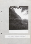 Ewidencja parkowa, skan nr 38