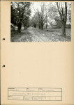 Ewidencja parkowa, skan nr 29