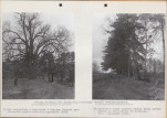 Ewidencja parkowa, skan nr 64