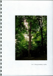 EP - Ewidencja parkowa, skan nr 30