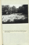 EP - Ewidencja parkowa, skan nr 59
