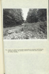 EP - Ewidencja parkowa, skan nr 61