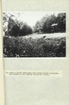 EP - Ewidencja parkowa, skan nr 63
