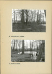 Ewidencja parkowa, skan nr 19