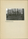 Ewidencja parkowa, skan nr 20