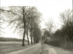 Ewidencja parkowa, skan nr 30