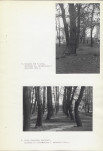 Ewidencja parkowa, skan nr 20