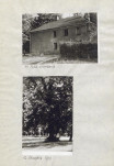 Ewidencja parkowa, skan nr 22
