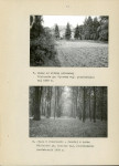 Ewidencja parkowa, skan nr 30