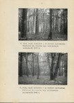 Ewidencja parkowa, skan nr 31