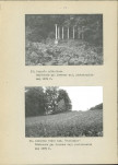 Ewidencja parkowa, skan nr 34
