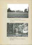 Ewidencja parkowa, skan nr 35