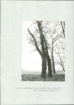 EP - Ewidencja parkowa, skan nr 33