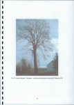 EP - Ewidencja parkowa, skan nr 21