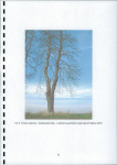 EP - Ewidencja parkowa, skan nr 22