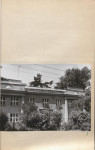 Ewidencja parkowa, skan nr 22