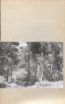 Ewidencja parkowa, skan nr 24