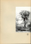 EP - Ewidencja parkowa, skan nr 39