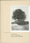 EP - Ewidencja parkowa, skan nr 19