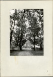 Ewidencja parkowa, skan nr 23