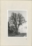 Ewidencja parkowa, skan nr 51