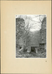 Ewidencja parkowa, skan nr 65