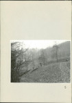 Ewidencja parkowa, skan nr 66