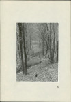Ewidencja parkowa, skan nr 67