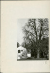Ewidencja parkowa, skan nr 53