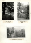 Ewidencja parkowa, skan nr 15