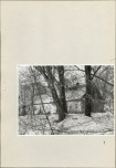 EP - Ewidencja parkowa, skan nr 40