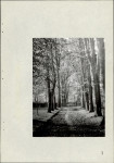 Ewidencja parkowa, skan nr 21