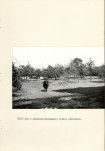 Ewidencja parkowa, skan nr 31