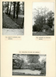 Ewidencja parkowa, skan nr 17