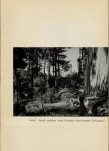 Ewidencja parkowa, skan nr 50