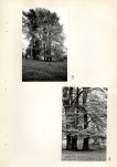 Ewidencja parkowa, skan nr 22