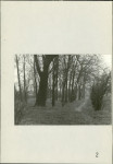 Ewidencja parkowa, skan nr 48