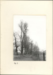 Ewidencja parkowa, skan nr 16