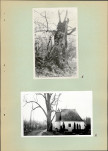 Ewidencja parkowa, skan nr 11