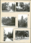 Ewidencja parkowa, skan nr 18