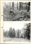 Ewidencja parkowa, skan nr 16