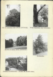 Ewidencja parkowa, skan nr 24