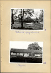 Ewidencja parkowa, skan nr 29