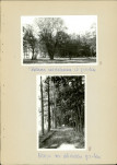 Ewidencja parkowa, skan nr 23