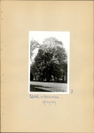 Ewidencja parkowa, skan nr 24