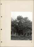 Ewidencja parkowa, skan nr 29