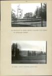 Ewidencja parkowa, skan nr 17