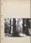 Ewidencja parkowa, skan nr 28