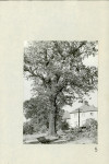 Ewidencja parkowa, skan nr 34
