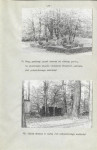 Ewidencja parkowa, skan nr 28